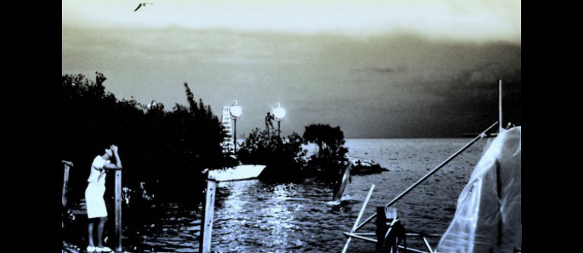 jo an mey - job photos