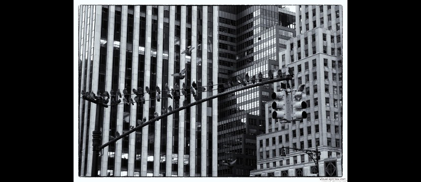 some snapshots from my traveling - jo an mey - dop