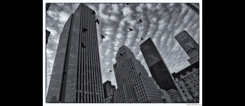 some snapshots from my traveling - jo an mey - dop