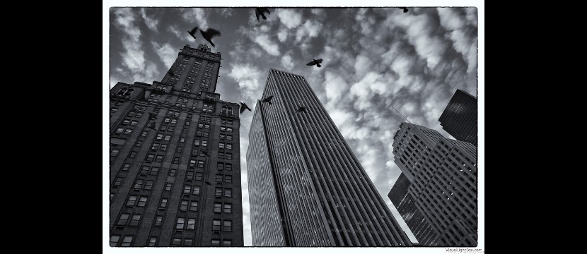 some snapshots from my traveling - jo an mey - dop